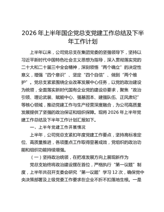 2026年上半年国企党总支党建工作总结及下半年工作计划