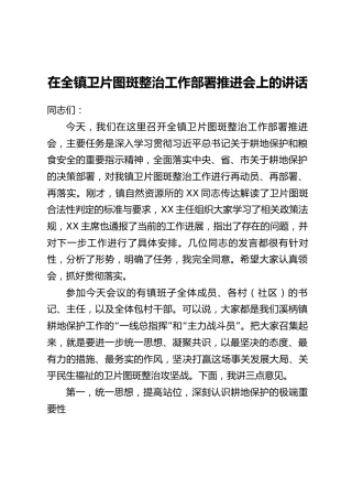 在全镇卫片图斑整治工作部署推进会上的讲话