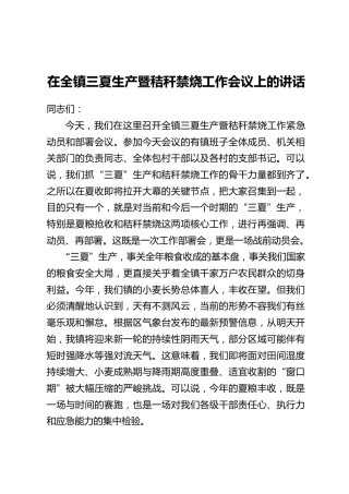 在全镇三夏生产暨秸秆禁烧工作会议上的讲话