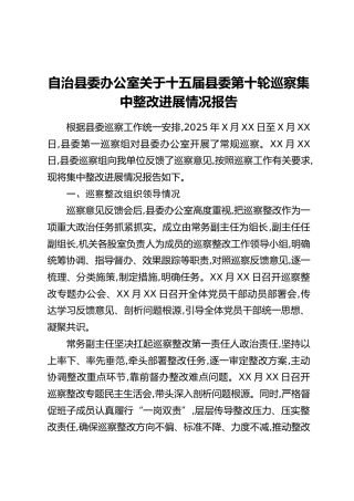 自治县委办公室关于十五届县委第十轮巡察集中整改进展情况报告