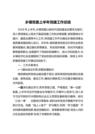 乡镇党委上半年党建工作总结