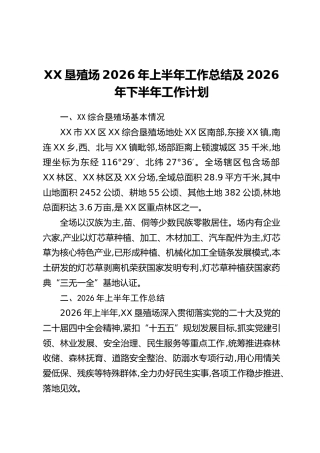 XX垦殖场2026年上半年工作总结及2026年下半年工作计划