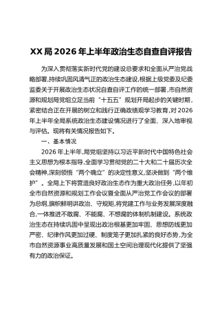 XX局2026年上半年政治生态自查自评报告