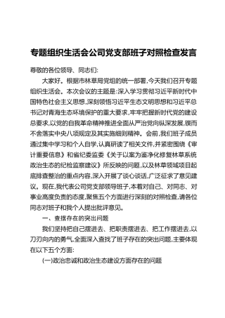 专题组织生活会公司党支部班子对照检查发言