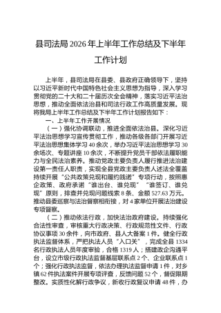 县司法局2026年上半年工作总结及下半年工作计划