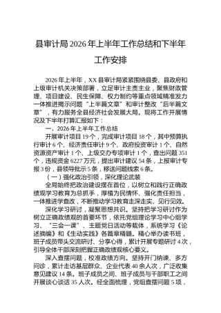 县审计局2026年上半年工作总结和下半年工作安排