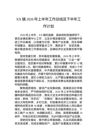 XX镇2026年上半年工作总结及下半年工作计划