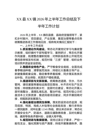 XX县XX镇2026年上半年工作总结及下半年工作计划