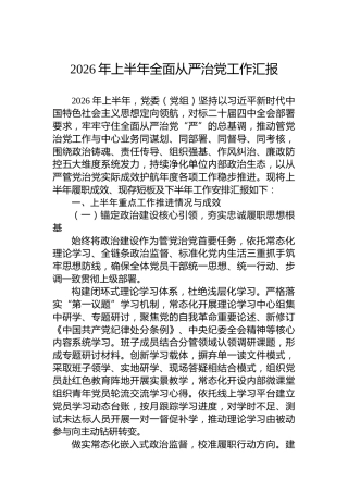 2026年上半年全面从严治党工作汇报