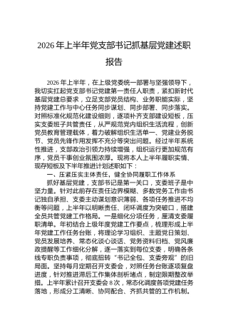 2026年上半年党支部书记抓基层党建述职报告