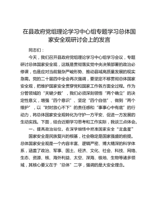 在党组理论学习中心组专题学习总体国家安全观研讨会上的发言1