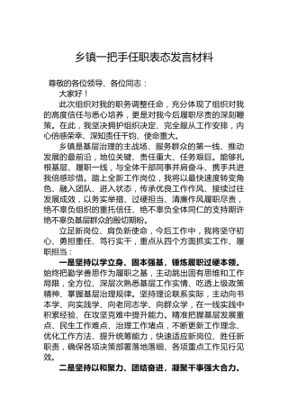 乡镇一把手任职表态发言材料