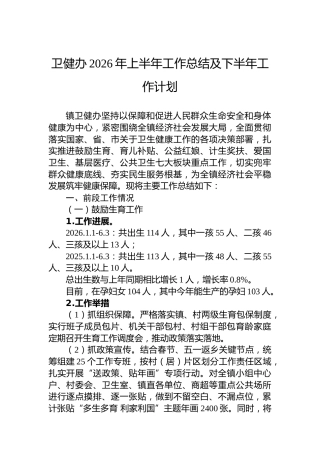 卫健办2026年上半年工作总结及下半年工作计划