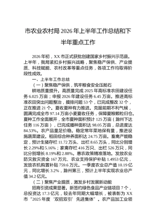 市农业农村局2026年上半年工作总结和下半年重点工作