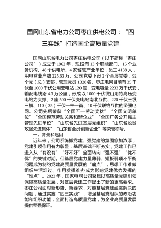 国网山东省电力公司枣庄供电公司：“四三实践”打造国企高质量党建