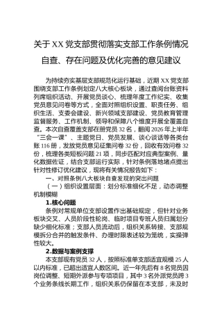 关于XX党支部贯彻落实支部工作条例情况自查、存在问题及优化完善的意见建议