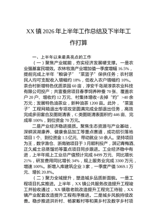 XX镇2026年上半年工作总结及下半年工作打算