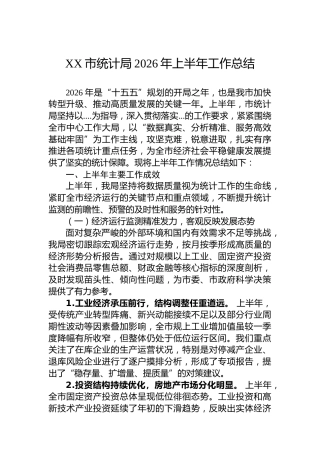 XX市统计局2026年上半年工作总结