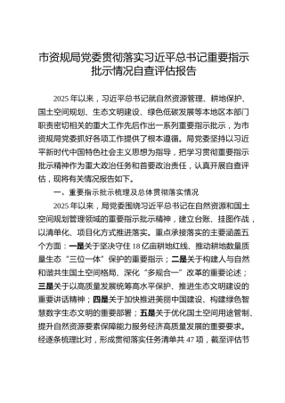 市资规局党委贯彻落实习近平总书记重要指示批示情况自查评估报告