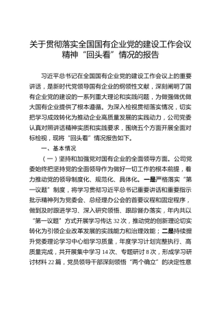 关于贯彻落实全国国有企业党的建设工作会议精神“回头看”情况的报告