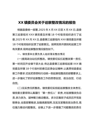 XX镇委员会关于巡察整改情况的报告