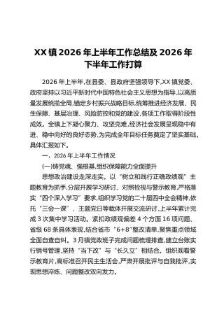 XX镇2026年上半年工作总结及2026年下半年工作打算