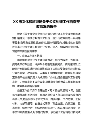 XX市文化和旅游局关于公文处理工作自查整改情况的报告