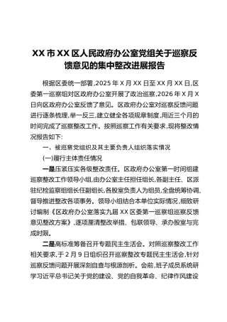 XX市XX区人民政府办公室党组关于巡察反馈意见的集中整改进展报告