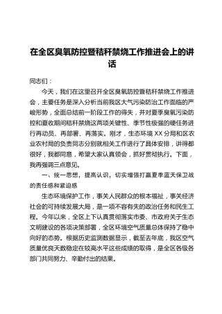 在全区臭氧防控暨秸秆禁烧工作推进会上的讲话