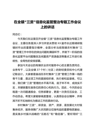 在全镇“三资”信息化监管整治专题工作会议上的讲话