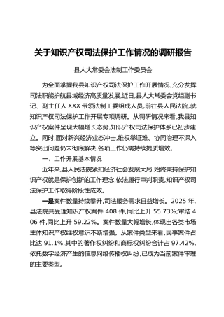 关于知识产权司法保护工作情况的调研报告