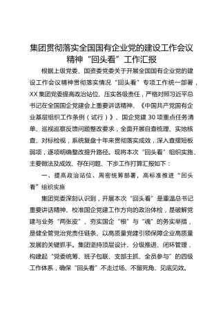 集团贯彻落实全国国有企业党的建设工作会议精神“回头看”工作汇报