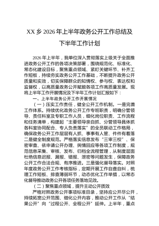 XX乡2026年上半年政务公开工作总结及下半年工作计划