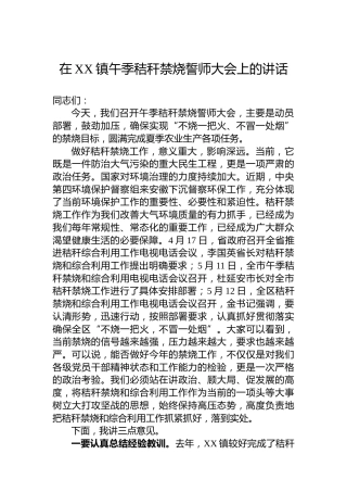在XX镇午季秸秆禁烧誓师大会上的讲话