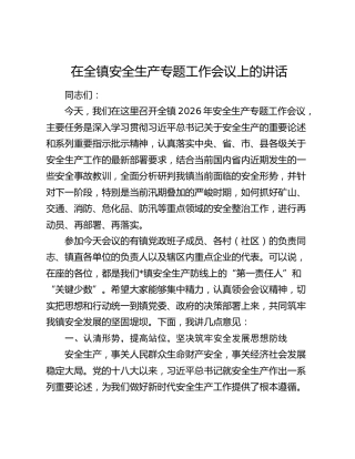 在全镇安全生产专题工作会议上的讲话