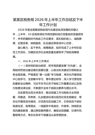 税务局2026年上半年工作总结及下半年工作计划