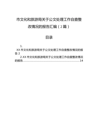 市文化和旅游局关于公文处理工作自查整改情况的报告汇编（2篇）