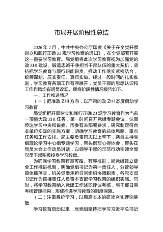 市局开展阶段性总结