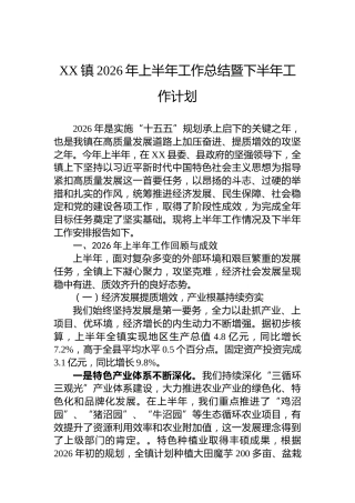 XX镇2026年上半年工作总结暨下半年工作计划