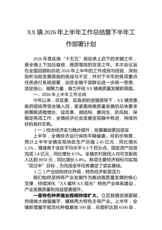 XX镇2026年上半年工作总结暨下半年工作部署计划