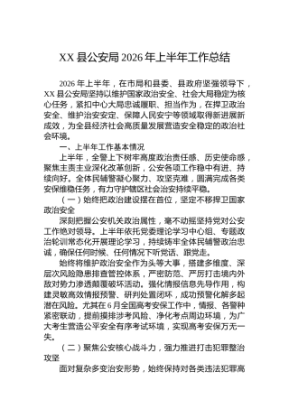 XX县公安局2026年上半年工作总结