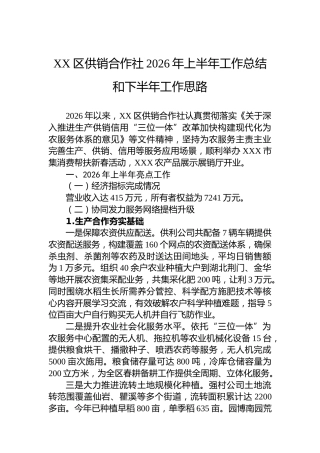 XX区供销合作社2026年上半年工作总结和下半年工作思路