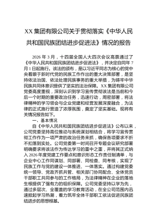 XX集团有限公司关于贯彻落实《中华人民共和国民族团结进步促进法》情况的报告