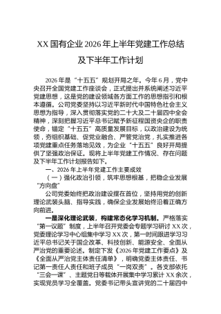 XX国有企业2026年上半年党建工作总结及下半年工作计划