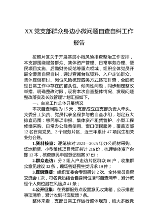 XX党支部群众身边小微问题自查自纠工作报告