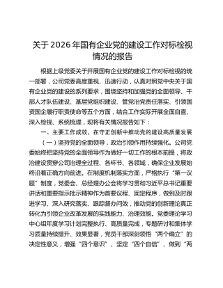 国企公司党的建设工作对标检视情况报告（坚持和加强党的全面领导、干部人才队伍建设、基层党组织建设、管党治党责任落实、引领国资国企履行职责使命总结）