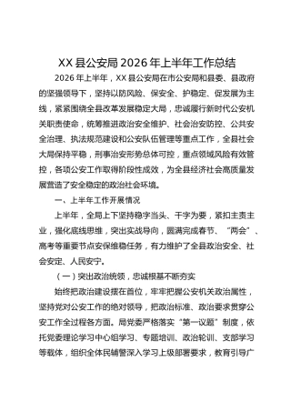 公安系统2026年上半年工作总结