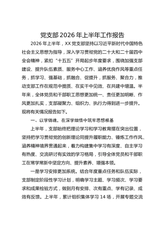 党支部2026年上半年工作报告（党建总结）