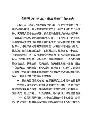 镇党委2026年上半年党建工作总结