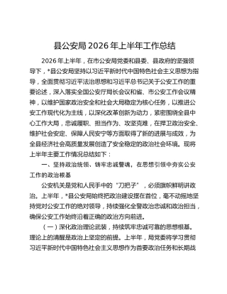 县公安局2026年上半年工作总结